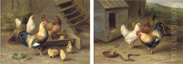 Chickens Intrigued By A Dog Biscuit (+ Chickens And Chicks Feeding; 2 Works) - view 1