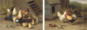 Chickens Intrigued By A Dog Biscuit (+ Chickens And Chicks Feeding; 2 Works) by Edgar Hunt