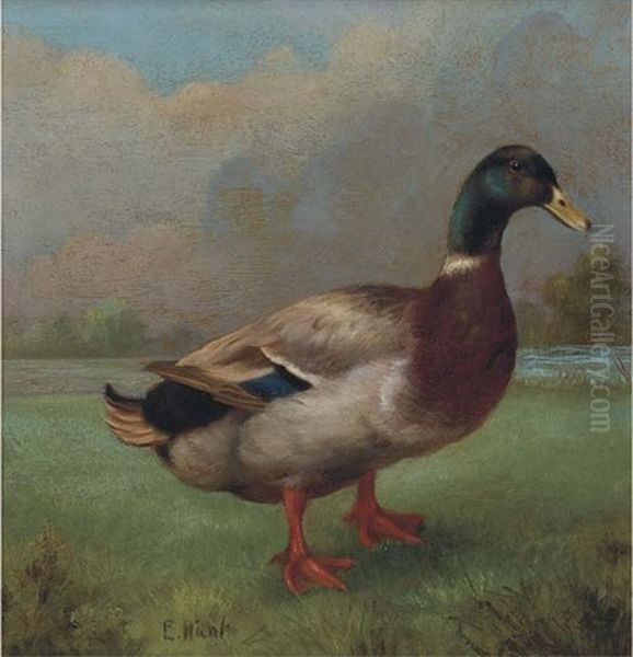 Mallard In A Landscape - view 1