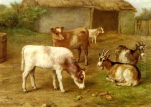 Calves And Goats In A Barnyard