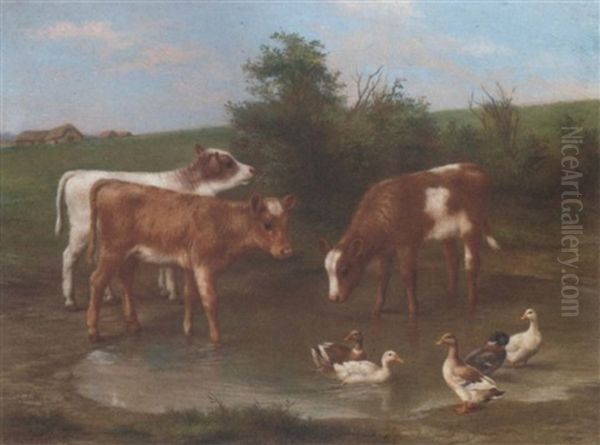Calves And Ducks By A Pond - view 1