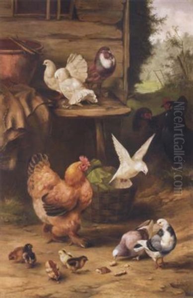 Feathered Friends - view 1