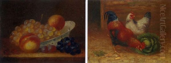 Poultry Study - view 1