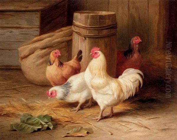 A Cockerell And Chickens - view 1