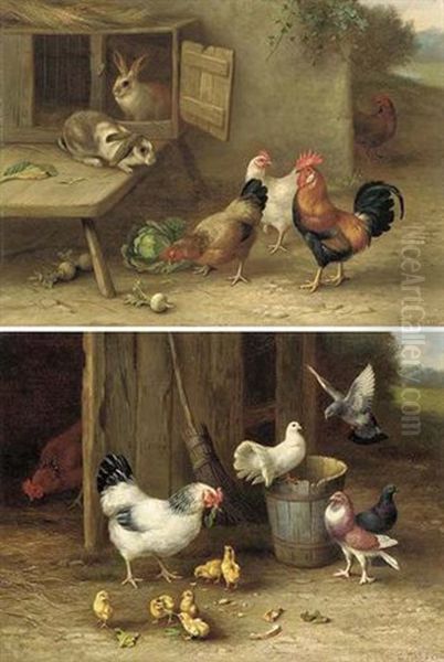 Chickens, Chicks And Doves - view 1