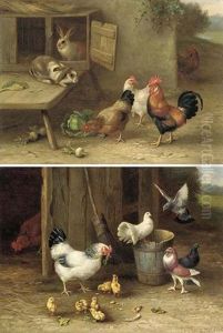 Chickens, Chicks And Doves by Edgar Hunt