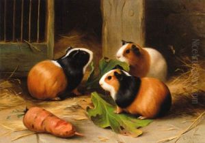 Three Guinea Pigs by Edgar Hunt