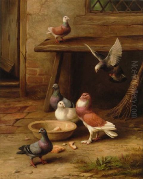 Pigeons And Doves Outside A Cottage Door - view 1