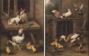 Pigeons And Ducks by Edgar Hunt