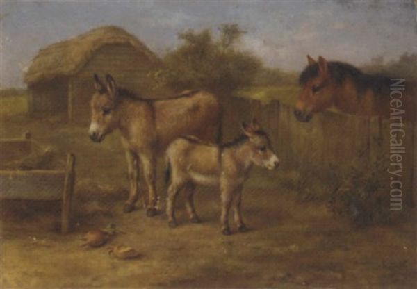Stable Friends - view 1