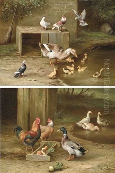 A Duck And Ducklings, With Doves, By A Pond - view 1