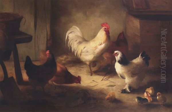 The Pride Of The Roost - view 1