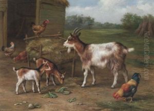 A Mother Goat With Her Kids A Mother Goat With Her Kids
