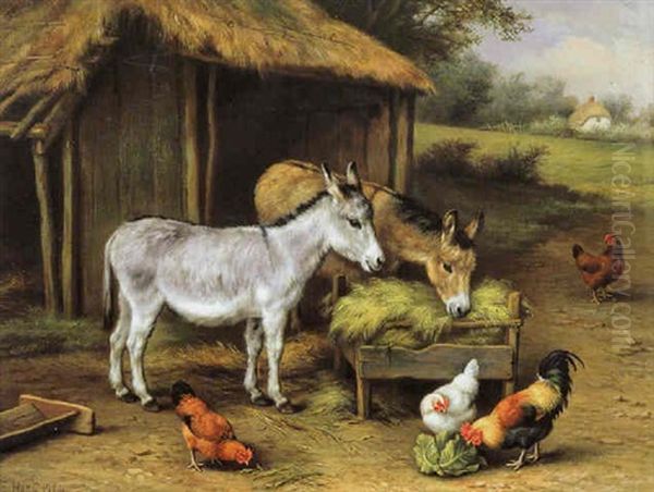 Chickens And Donkeys Feeding Outside A Barn - view 1