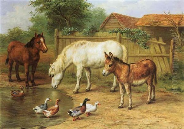 Ponies, Donkey And Ducks In A Farmyard - view 1