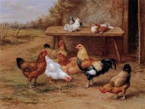 Poultry And Pigeons by Edgar Hunt