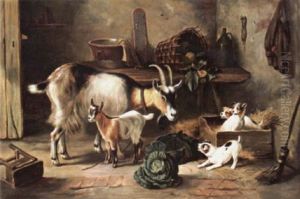Goats And Puppies In A Farm Kitchen by Edgar Hunt