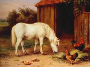 Pony And Poultry Before A Barn