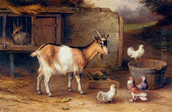 A Farmyard With A Goat, A Rabbit, Two Doves And Pigeons - view 1
