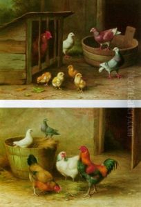 Pigeons And Chicks