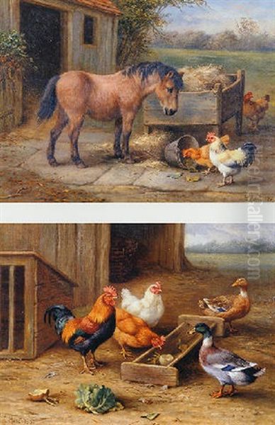 A Pony And Chickens By A Manger - view 1