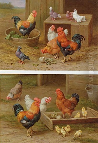 Cockerels, Hens And Doves In A Farmyard - view 1
