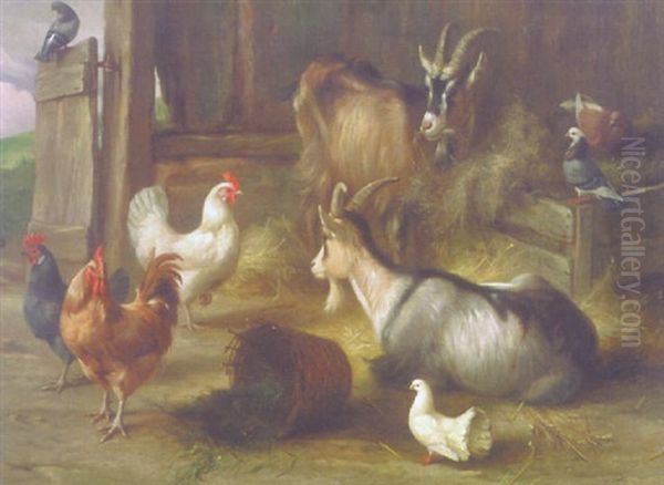 Chickens, Goats And Pigeons In A Barn - view 1