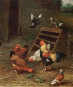Chickens And Pigeons In A Yard by Edgar Hunt