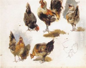 Cockerells