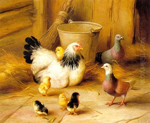 Chickens And Pigeons - view 1