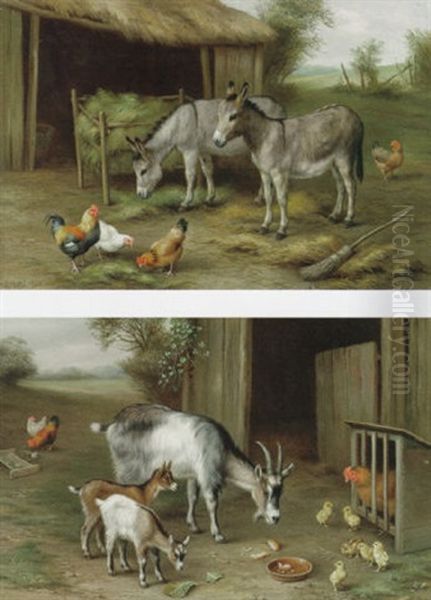 Donkeys And Poultry - view 1