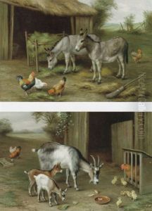 Donkeys And Poultry by Edgar Hunt