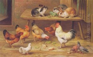 Chickens And Rabbits By The Hutches