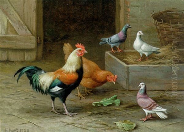 Chickens, Pigeons And A Dove - view 1