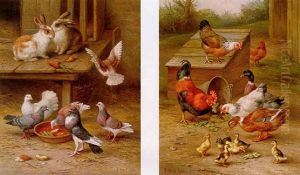 Rabbits And Pigeons by Edgar Hunt