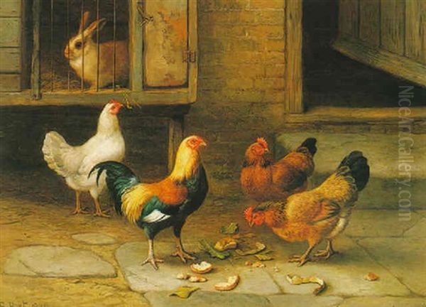 Chickens And Rabbit - view 1