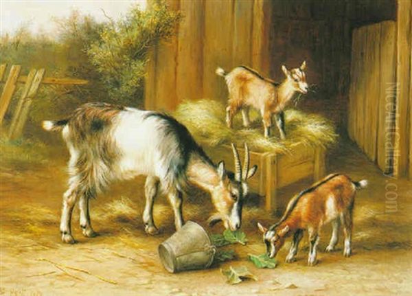 Goats Outside A Stable - view 1
