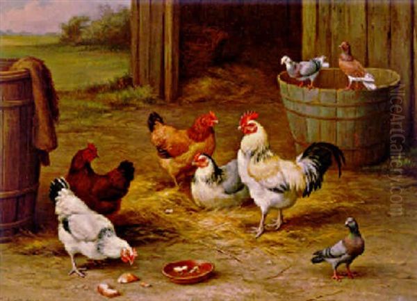 Cockerel, Hens And Pigeons - view 1