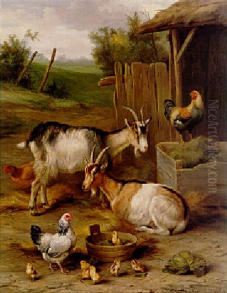 Goats And Chickens - view 1