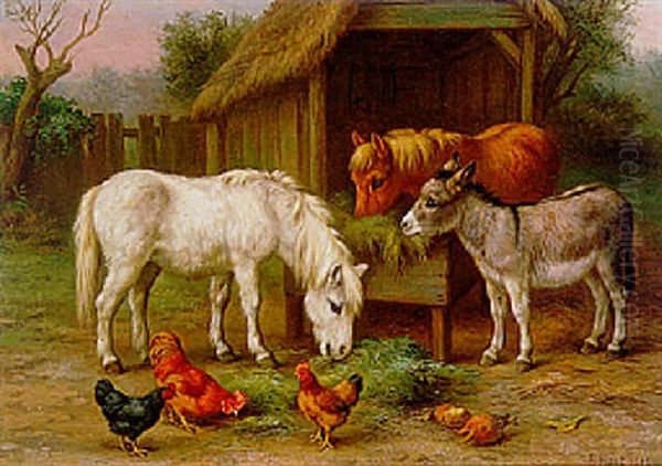 Ponies, Chickens And A Donkey In A Stable - view 1