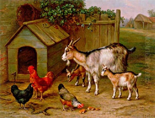 Chickens And Goats - view 1