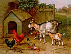 Chickens And Goats