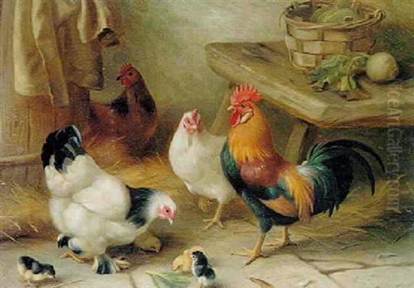 Poultry - view 1