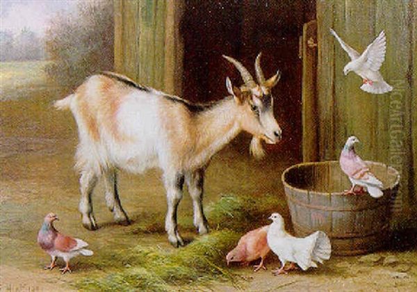 Goat And Fantails - view 1