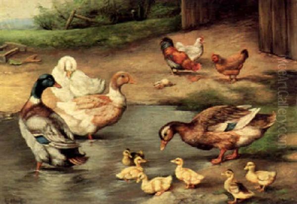 Ducks In A Watering Hole - view 1