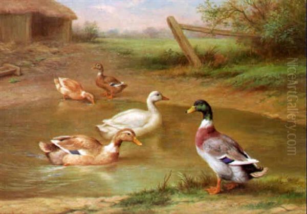 Ducks By A Pond - view 1