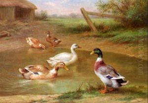 Ducks By A Pond