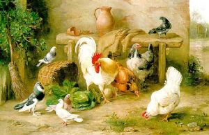 A Cockerel, Hens, Pigeons And Doves In A Farmyard by Edgar Hunt