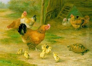 Hens, Chicks And A Tortoise In A Farmyard