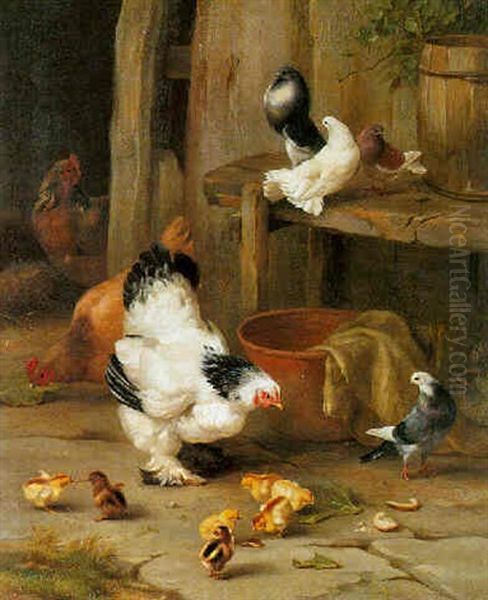 Pigeons And Poultry - view 1